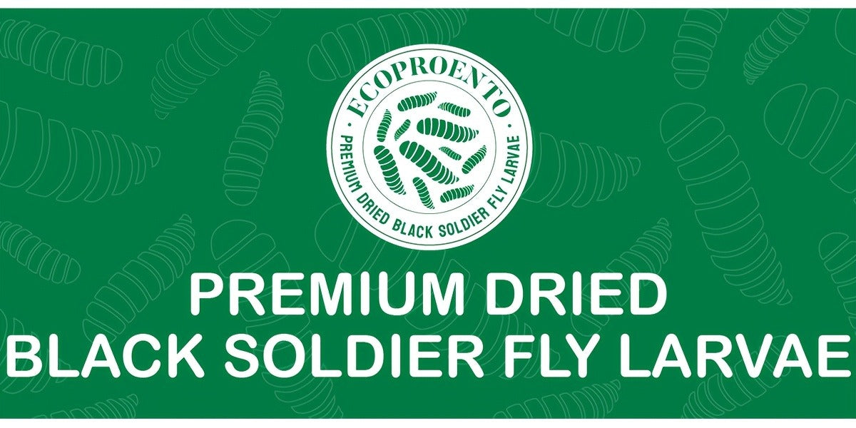 Non-GMO Dried Black Soldier Fly Larvae 5LB & 10LB - 85X More Calcium Than Mealworms, High Protein BSFL Treats for Chickens, Ducks, Wild Birds & Turtles