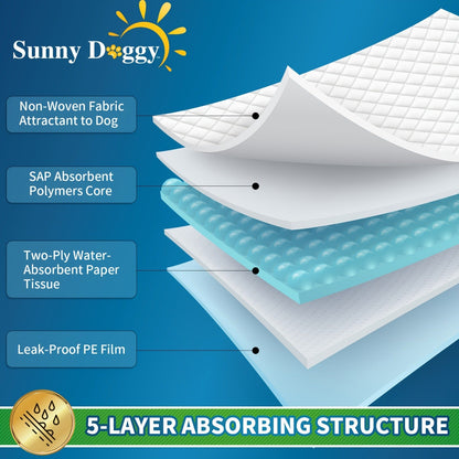 Disposable Dog Pee Pads for Puppy Training - Super Absorbent Leak-Proof Potty Pads with Odor Control, Housebreaking Training Pads for Dogs, 80/100/240 Count, 22"x22" 30"x36" 36"x36"