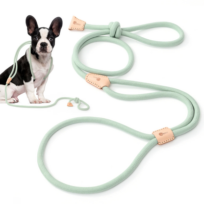 Dog Slip Leash and Harness 2-in-1 Rope Lead - No Pull All-in-One Training Leash for Puppies & Small Dogs, Adjustable Slip Lead with Soft Rope, Secure Control for Walking & Training