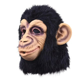 Open-mouthed gorilla