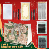 5 Box Mix Lashes(1993pcs)