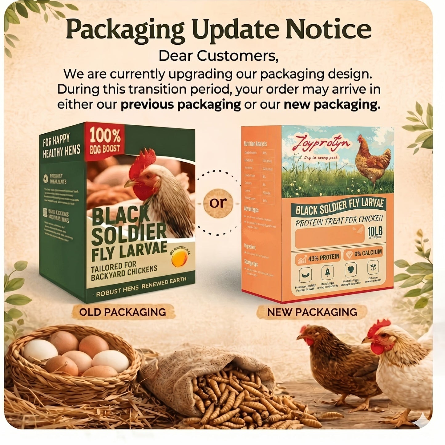 Dried Black Soldier Fly Larvae for Chickens - High Protein BSF Larvae Treats with Calcium for Laying Hens Ducks Quail Birds Reptiles Non-GMO Natural
