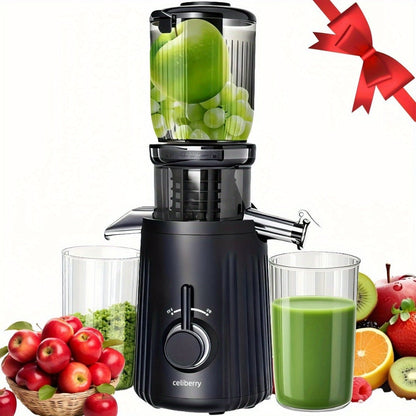 Masticating Juicer Cold Press - 4.25" Wide Feed Chute Auto-Feed Slow Juicer for Whole Fruits & Vegetables, 98% Juice Extraction, Quiet Motor, Easy to Clean, Compact for 1-2 People, Multiple Colors