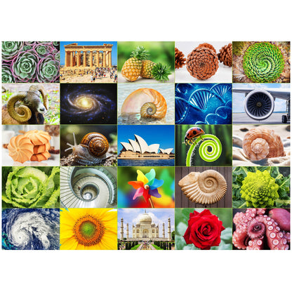 1000 Piece Jigsaw Puzzles for Adults 3-Pack – Challenging Large Puzzle Set with Wildlife, Scenic Landscape & Nature Themes | Letters on Back, Family Game Night, Birthday Christmas Gift