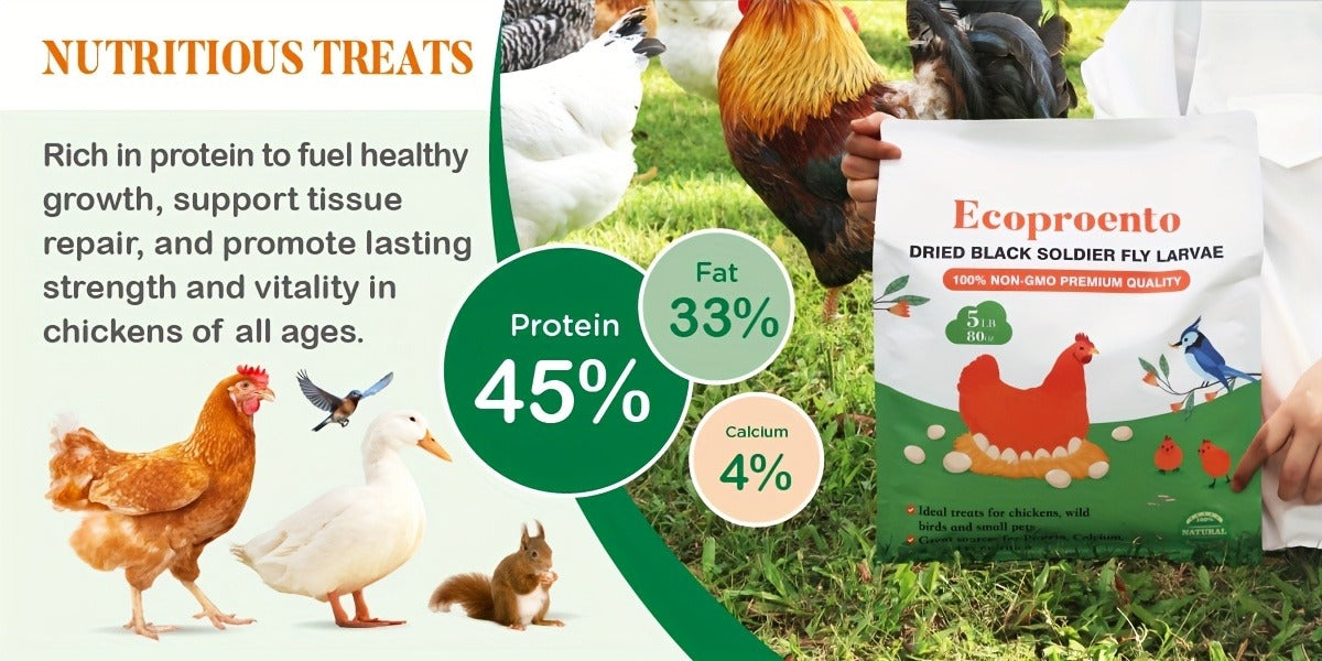 Non-GMO Dried Black Soldier Fly Larvae 5LB & 10LB - 85X More Calcium Than Mealworms, High Protein BSFL Treats for Chickens, Ducks, Wild Birds & Turtles