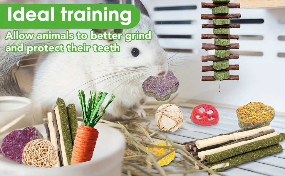 Small Animal Dental Treats 21pcs – Natural Timothy Hay Variety Set with Hay Sticks, Timothy Cakes & Carrot Strawberry Treats for Rabbits, Guinea Pigs & Hamsters – Teeth Care Forage Snacks
