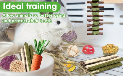 Small Animal Dental Treats 21pcs – Natural Timothy Hay Variety Set with Hay Sticks, Timothy Cakes & Carrot Strawberry Treats for Rabbits, Guinea Pigs & Hamsters – Teeth Care Forage Snacks