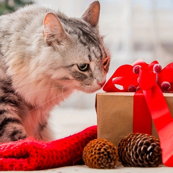 Cat Teaser Toy 7-in-1 USB Rechargeable - Interactive Wand Toy for Indoor Cats & Dogs, Feather Chaser Exercise Toy with Free Bonus Mouse Toy, Stimulating Chase & Play Gift for Pets