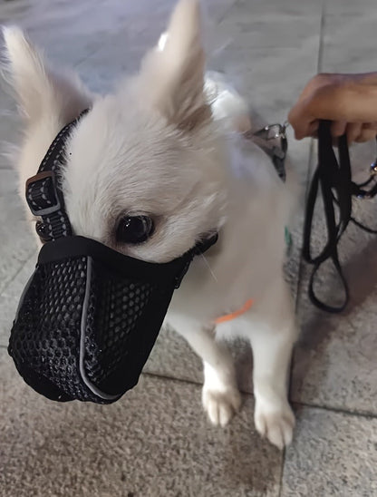 Dog Muzzle Reflective Mesh 2 Pack Anti-Bite Full Coverage with Adjustable Straps, Soft Breathable Polyester Dog Mask for Grooming Vet Visits Walking, Sizes M L XL XXL, Black