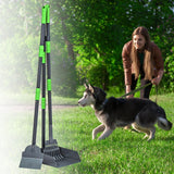 Black & Green