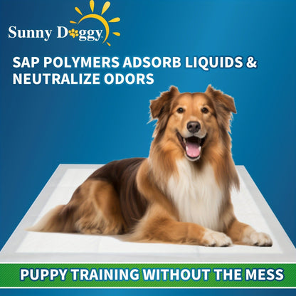Dog Training Pads for Puppies Large - Disposable Pee Pads with Odor Control, Leak-Proof & Super Absorbent - Puppy Potty Pads for Housebreaking, 40/50/120 Count