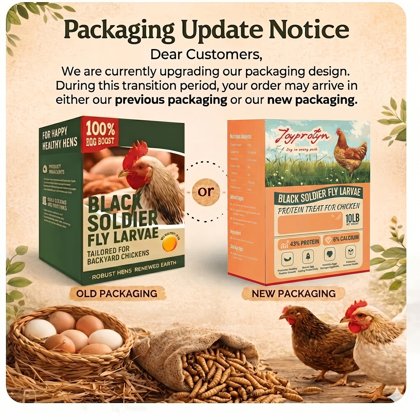 Dried Black Soldier Fly Larvae for Chickens - High Protein BSF Larvae Treats with Calcium for Laying Hens Ducks Quail Birds Reptiles Non-GMO Natural