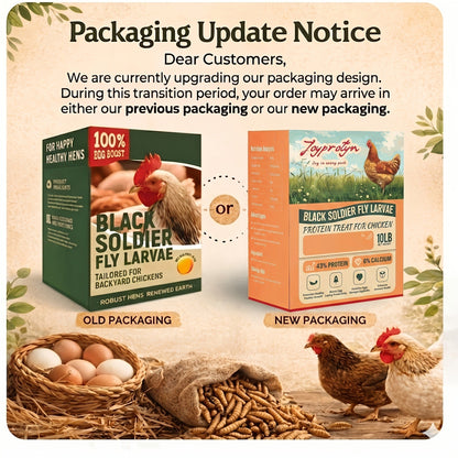 Dried Black Soldier Fly Larvae for Chickens - High Protein BSF Larvae Treats with Calcium for Laying Hens Ducks Quail Birds Reptiles Non-GMO Natural