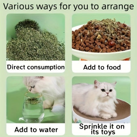 Natural Cat Treats 100g - Dried Herb Snacks for Cats to Aid Digestion, Reduce Hairballs & Stress, Promote Oral Health and Stimulate Natural Instincts