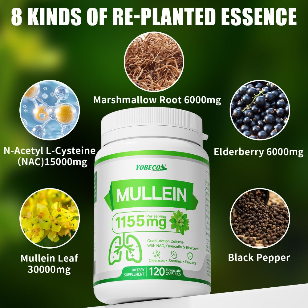 Lung Cleanse Capsules 120 Count with Mullein & NAC for Respiratory Support, Airway & Breathing Comfort, Immune Health, Seasonal & Year-Round Supplement for Adults
