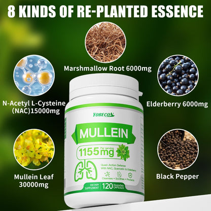Lung Cleanse Capsules 120 Count with Mullein & NAC for Respiratory Support, Airway & Breathing Comfort, Immune Health, Seasonal & Year-Round Supplement for Adults