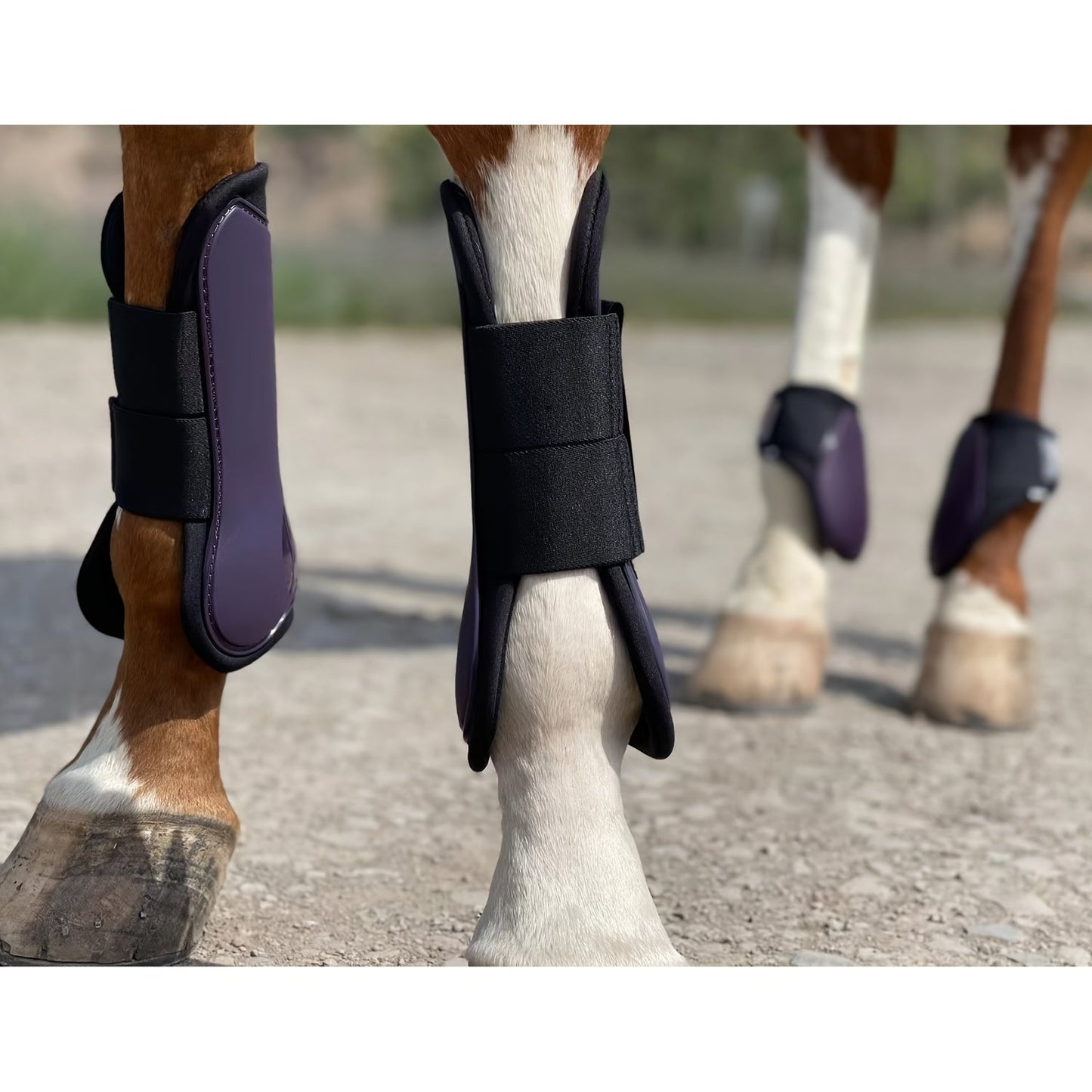 Horse Boots Set of 4 – Open Front Tendon & Fetlock Leg Protection Boots, PU Neoprene Splint Boots for Training, Racing, Riding & Jumping, Full, COB & Pony Sizes, 10 Colors