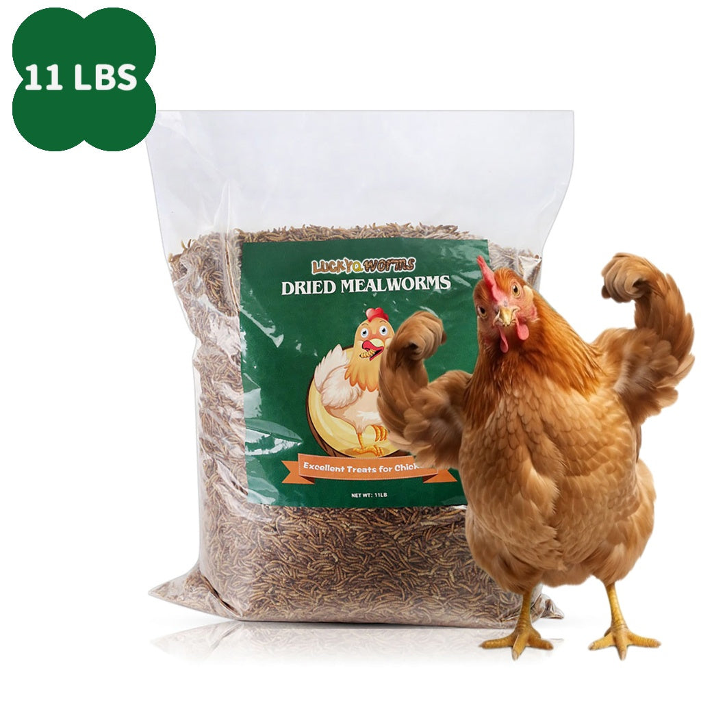 Dried Mealworms High Protein Animal Feed – Natural Insect Treats for Chickens Wild Birds Hens Ducks Turtles Fish Lizards Hamsters, Non-GMO Dried Larvae Pet Food Supplement, 0.6LB to 44LB