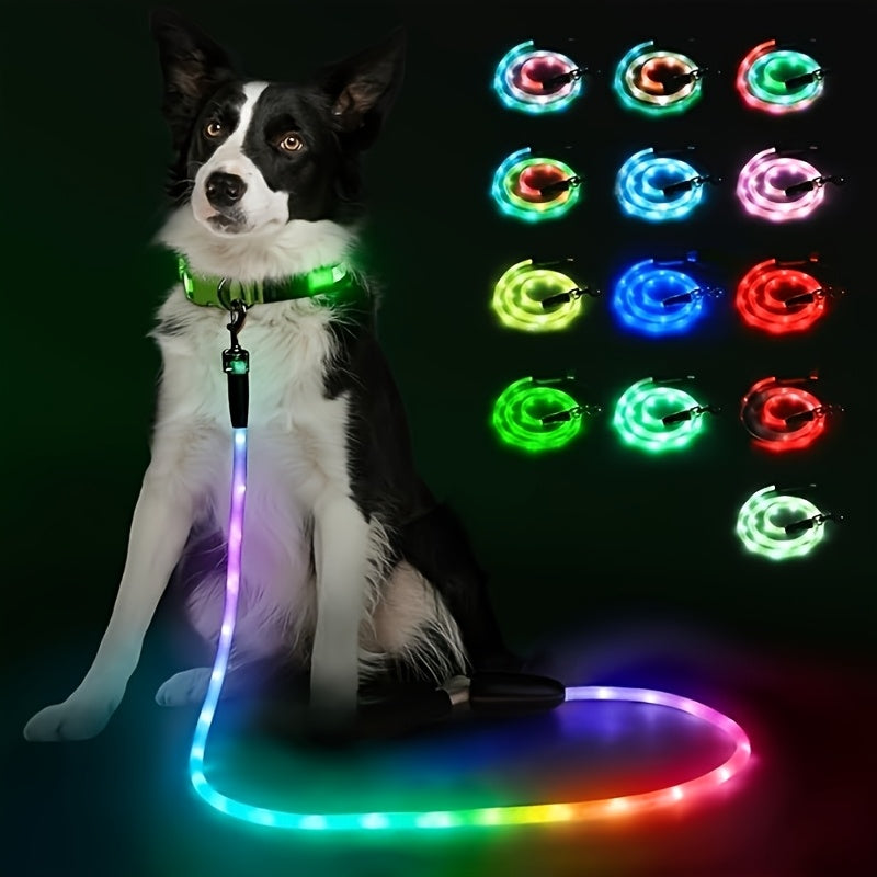LED Dog Leash Light Up 4FT Rechargeable with 7 Lighting Modes, Glow in the Dark Reflective Double-Sided Lighted Dog Leash, Padded Handle for Night Walking Safety, Small to Large Dogs, White