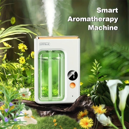 Aroma Diffuser & Humidifier 2-in-1 – USB Powered, 7-Level Mist, Odor Eliminator, Includes Essential Oil (Shangri-La or Encounter), Compact Air Moisturizer & Fragrance Diffuser for Home, Office & Bedroom