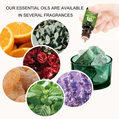 Fragrance Essential Oil Gift Set – Premium Hotel Scent Diffuser Oils for Candle Making, Aromatherapy & Home Fragrance | 12 or 24 Piece Set