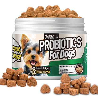 Dog Probiotic Supplement 6 Billion CFU with Prebiotic - 90 Chicken Flavor Chews for Itching Skin Relief, Digestive & Immune Health, All-in-One Canine Nutritional Supplement for All Breeds