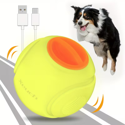 LED Light Up Dog Ball Toy Glow in the Dark - USB Rechargeable Motion-Activated Glowing Fetch Ball for Small Medium Dogs, 2.5 Inch Durable Night Play Interactive Toy, Safe Low Voltage
