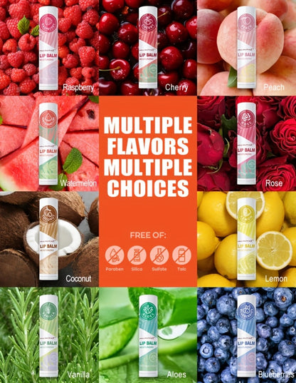 Fruit Flavored Lip Gloss Set 50 Pieces – Moisturizing Lip Balm Kit in 10 Colors, Hydrating Lip Care for Dry & Cracked Lips, Day & Night Use, Holiday Gift Set for Women & Girls