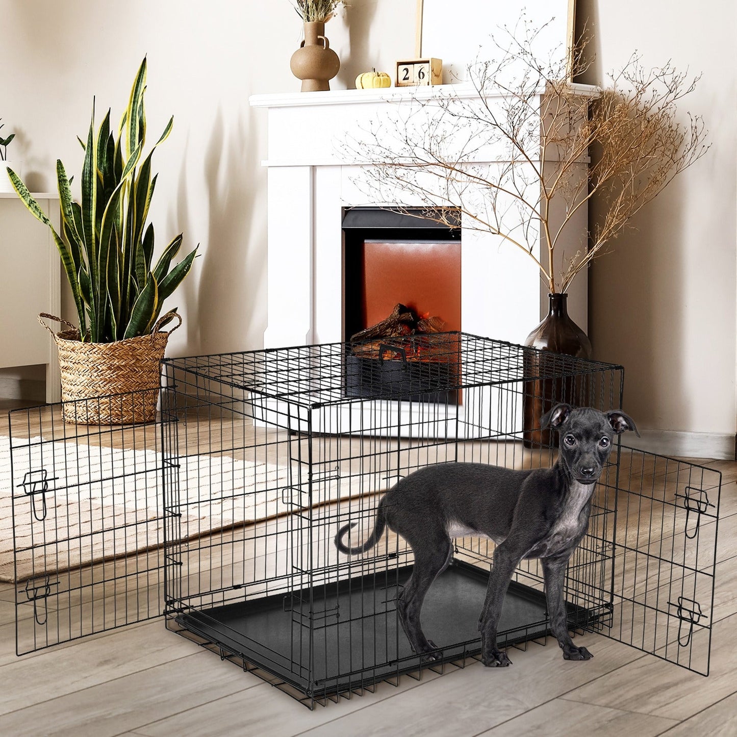 Folding Wire Dog Crate with Divider - Single & Double Door Options, Leak-Proof Plastic Tray, Indoor Outdoor Travel Kennel for Small Medium Large Dogs, 24" / 30" / 36" Sizes