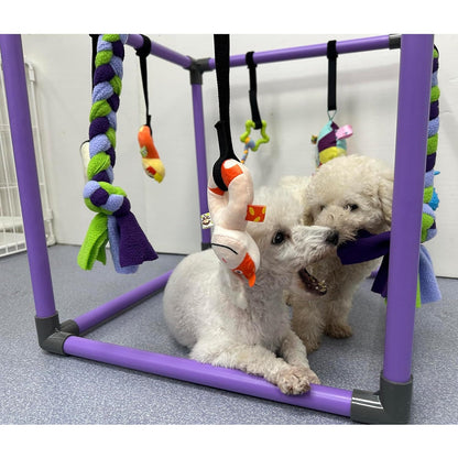 Puppy Gym Jungle Playground with Hammock – 8 Hanging Interactive Toys to Keep Puppies Busy & Stimulated