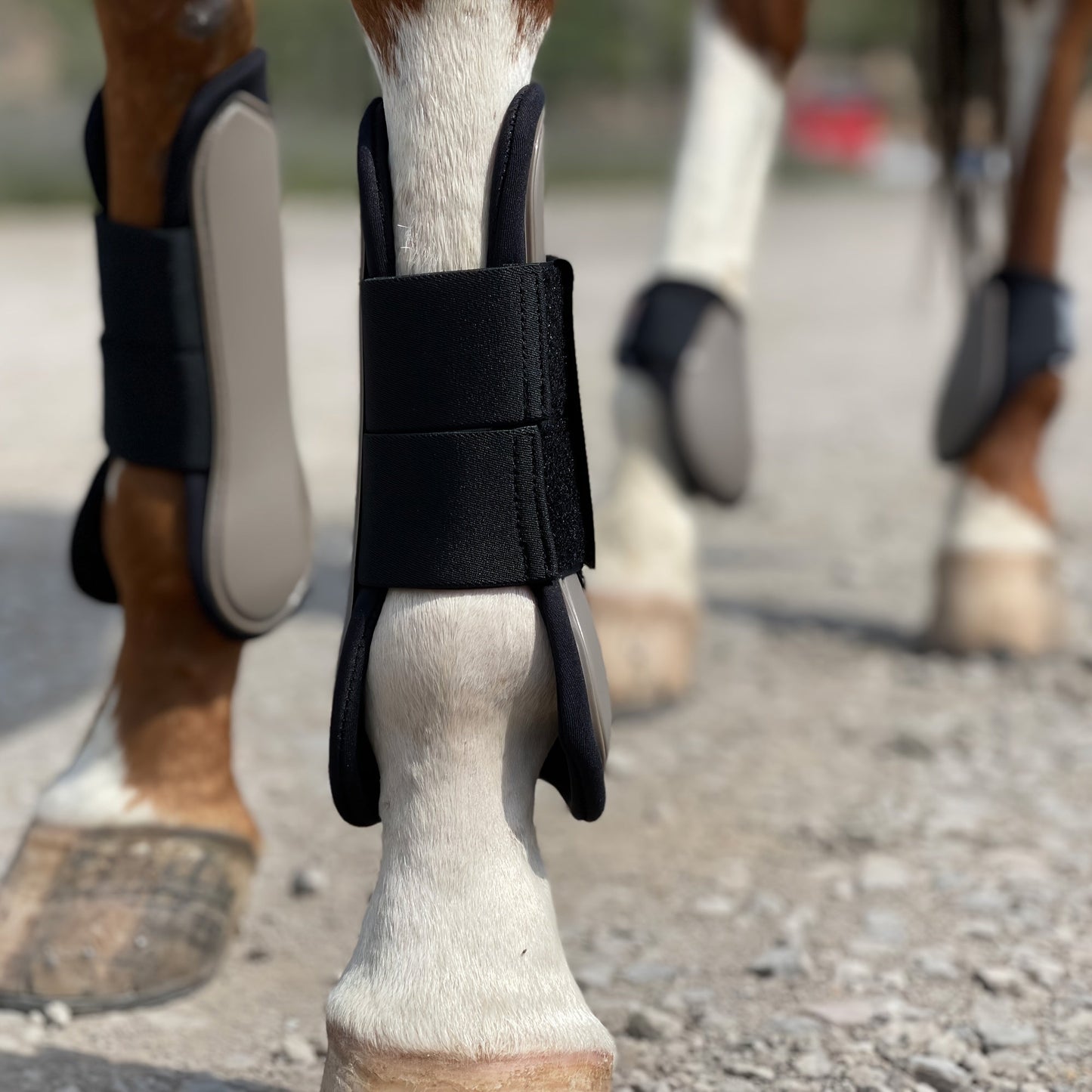 Horse Boots Set of 4 – Open Front Tendon & Fetlock Leg Protection Boots, PU Neoprene Splint Boots for Training, Racing, Riding & Jumping, Full, COB & Pony Sizes, 10 Colors