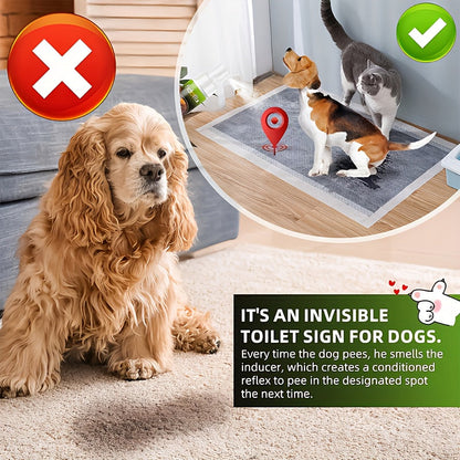 Puppy Potty Training Spray - Pheromone-Inspired Indoor Spot Guidance for Dogs & Cats, Helps Puppies & Kittens Recognize the Right Bathroom Spot Faster, Clean & Non-Messy