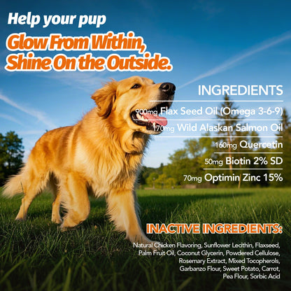 Omega 3 Dog Chews 90ct – 90-Day Supply Skin, Coat & Ear Care Supplement with Probiotics for Itchy Relief, All Ages – 1 Bottle Trial or 2 Bottle Value Pack