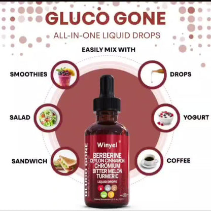 Blood Sugar Support Liquid Drops with Ceylon Cinnamon Berberine Bitter Melon Gymnema Chromium Turmeric Panax Ginseng — Vegan Glucose Metabolism Drops | 2.03 fl oz