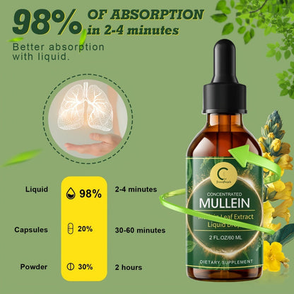 Mullein Leaf Liquid Tincture for Lung & Respiratory Health — Fast-Absorbing Herbal Drops for Breathing Support, Immune Defense & Digestive Wellness | Natural Extract | 2 fl oz