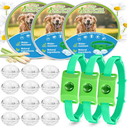 Flea & Tick Repellent Tag for Dogs - Natural Peppermint Essential Oil Capsules, 24/7 Chemical-Free Protection for Indoor & Outdoor Use, Pet-Safe Collar Tag with Refills