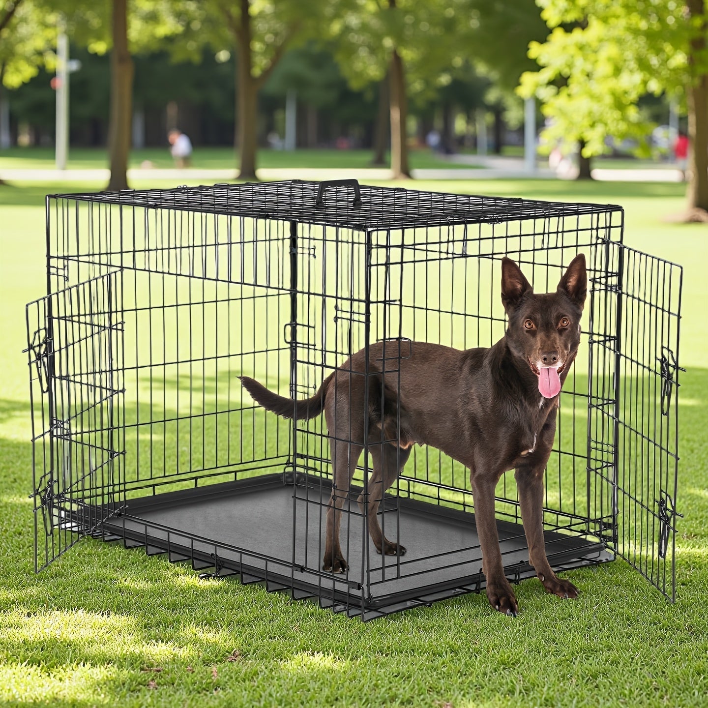 Folding Metal Dog Crate with Divider & Removable Tray – 36 Inch Portable Reinforced Kennel for Indoor & Outdoor Use