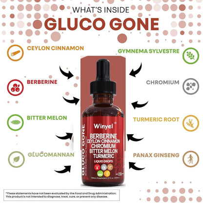 Blood Sugar Support Liquid Drops with Ceylon Cinnamon Berberine Bitter Melon Gymnema Chromium Turmeric Panax Ginseng — Vegan Glucose Metabolism Drops | 2.03 fl oz