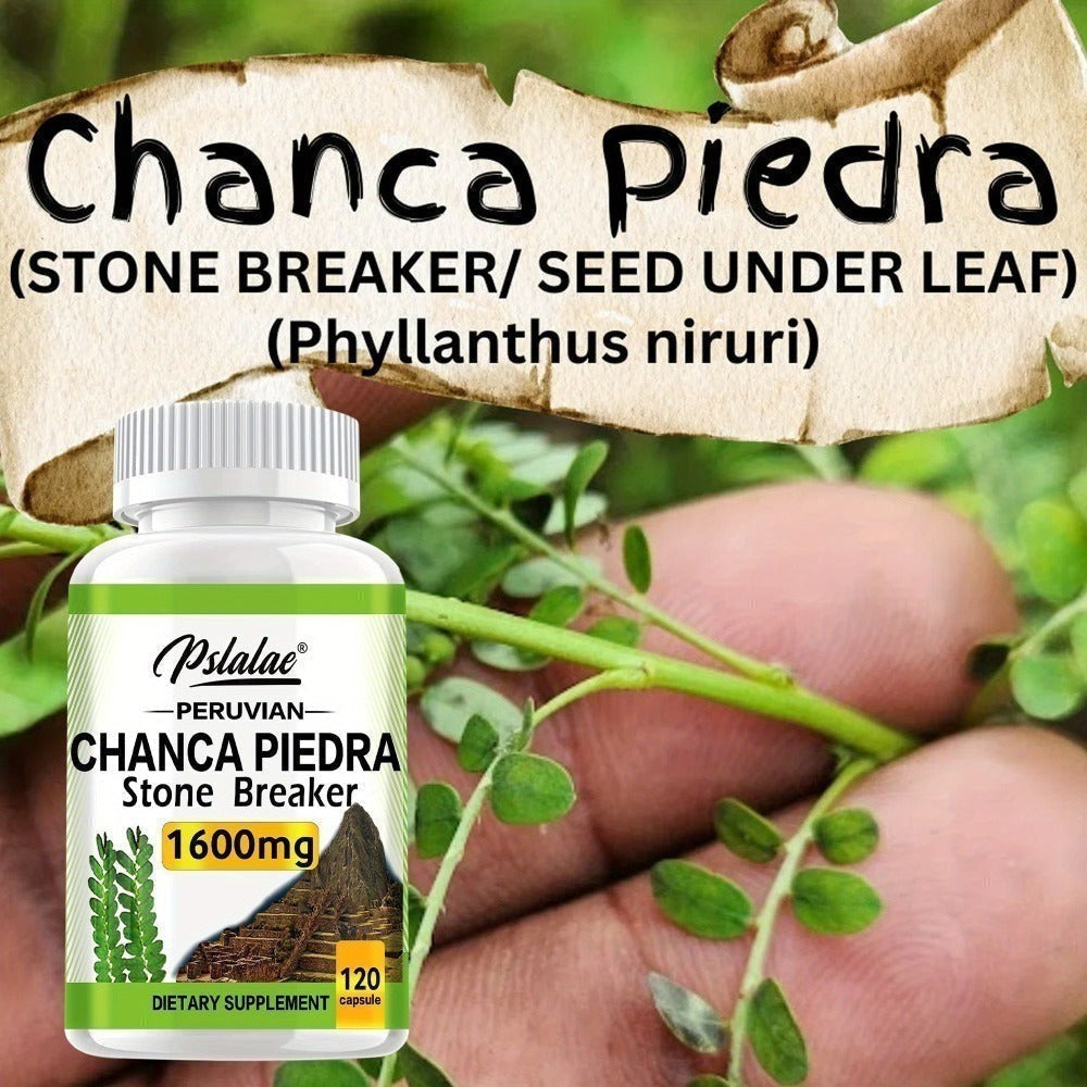 Chanca Piedra Capsules for Liver & Kidney Health – 120 Capsules Natural Urinary Tract Support Supplement, Stone Breaker Herb for Detox & Cleanse, Daily Wellness Formula