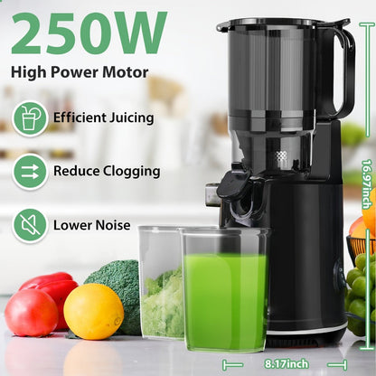 Cold Press Slow Juicer Machine with 5.3-Inch Large Feed Chute - High Juice Yield, Safety Lock, One-Click Cleaning, Masticating Juicer for Whole Fruits & Vegetables, Family Healthy Lifestyle, Black