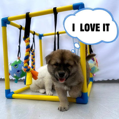 Puppy Gym Jungle Playground with Hammock – 8 Hanging Interactive Toys to Keep Puppies Busy & Stimulated