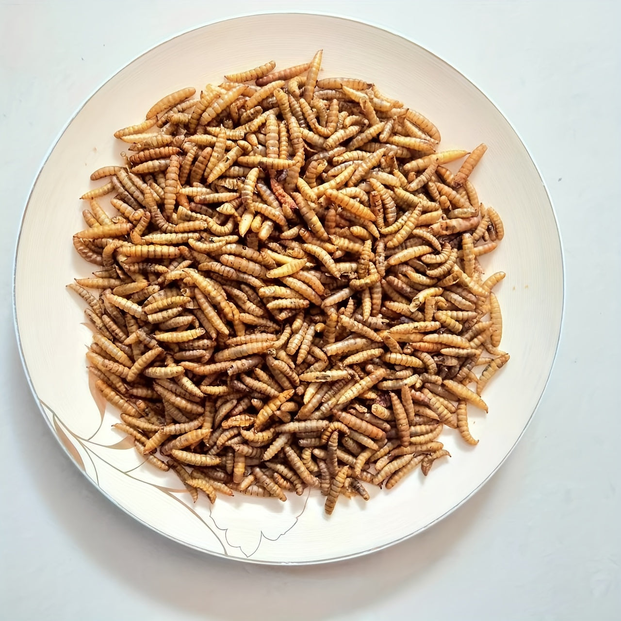 Dried Black Soldier Fly Larvae Chicken Feed – High Calcium High Protein Poultry Treat, Non-GMO Supplement for Chickens Ducks Birds Turtles Reptiles, More Nutritious Than Mealworms, 5LB & 10LB