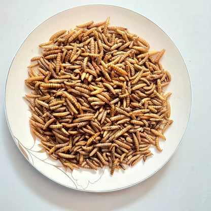 Dried Black Soldier Fly Larvae Chicken Feed – High Calcium High Protein Poultry Treat, Non-GMO Supplement for Chickens Ducks Birds Turtles Reptiles, More Nutritious Than Mealworms, 5LB & 10LB