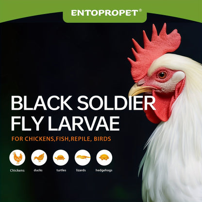 Dried Black Soldier Fly Larvae Chicken Feed – High Calcium High Protein Poultry Treat, Non-GMO Supplement for Chickens Ducks Birds Turtles Reptiles, More Nutritious Than Mealworms, 5LB & 10LB