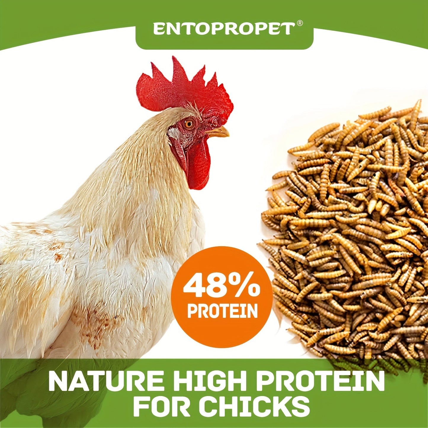 Dried Black Soldier Fly Larvae Chicken Feed – High Calcium High Protein Poultry Treat, Non-GMO Supplement for Chickens Ducks Birds Turtles Reptiles, More Nutritious Than Mealworms, 5LB & 10LB