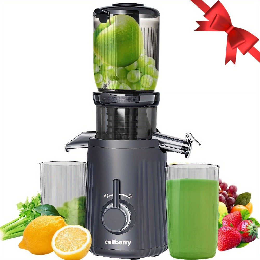 Masticating Juicer Cold Press - 4.25" Wide Feed Chute Auto-Feed Slow Juicer for Whole Fruits & Vegetables, 98% Juice Extraction, Quiet Motor, Easy to Clean, Compact for 1-2 People, Multiple Colors