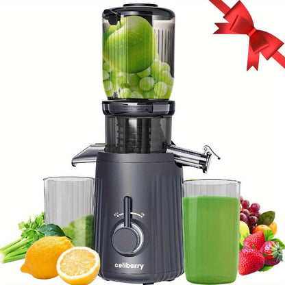 Masticating Juicer Cold Press - 4.25" Wide Feed Chute Auto-Feed Slow Juicer for Whole Fruits & Vegetables, 98% Juice Extraction, Quiet Motor, Easy to Clean, Compact for 1-2 People, Multiple Colors