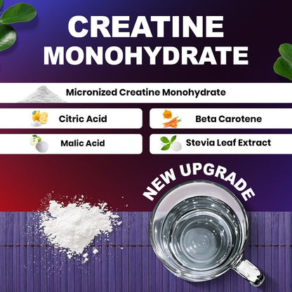 Micronized Creatine Monohydrate Powder 300g — 5000mg Per Serving | 60 Servings | Strength, Power & Focus Formula | No Artificial Sweeteners or Flavors | Pure Unflavored Pre & Post Workout