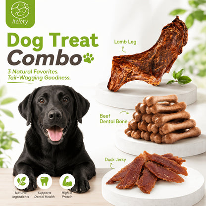 Duck Jerky Dog Treats Bundle High Protein Chews Grain Rawhide Free Daily Snacks for Small Medium Large Breeds Duck Lovers Dried Meat Bites Duo