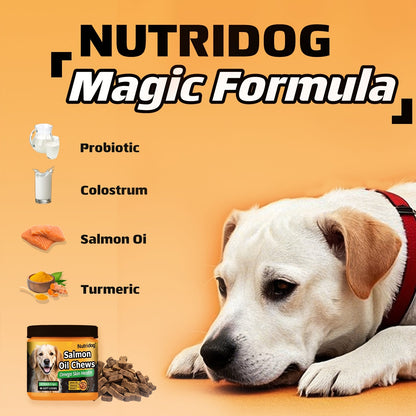 Dog Probiotic Chews with Salmon Oil – 90 Soft Chews for Coat & Gut Health | Chicken Flavor Nutritional Supplement for Dogs of All Ages, Sensitive Digestion & Immune Support